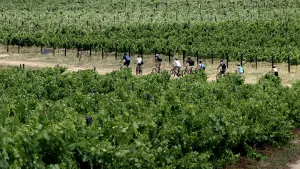 Stellenbosch Winelands Cycle Tour